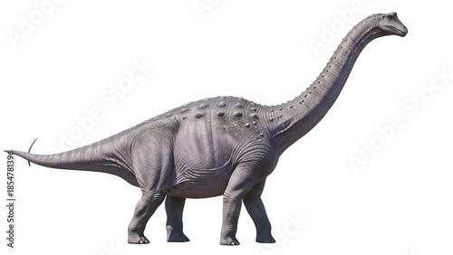 Photos Brontosaurus dinosaur isolated PNG on transparent background, prehistoric creatu