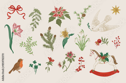 The Winter botanical. Set of floral vector vintage elements. Third part. Colorful