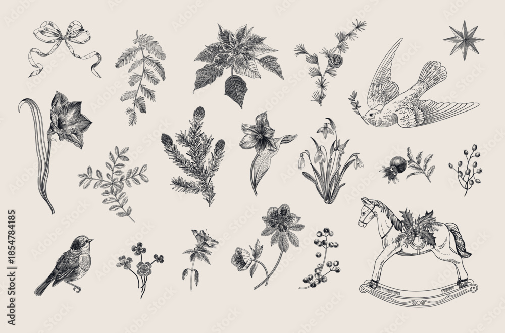 Obraz premium The Winter botanical. Set of floral vector vintage elements. Third part. Black and white