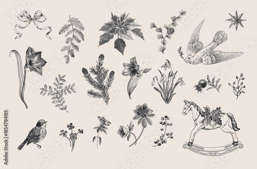 The Winter botanical. Set of floral vector vintage elements. Third part. Black and white