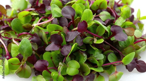 Close Up Pile of Fresh Green and Red Microgreens on a White Background Top View in Bright Studio Lighting