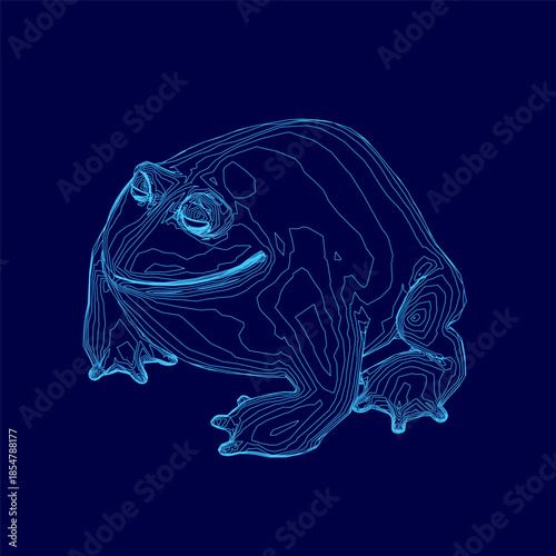 A fat frog contour in a thick blue line drawing sits isolated on a dark blue background. This minimalist illustration is perfect for design projects.
