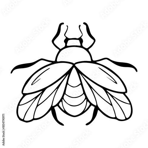 stylized entomology bug graphic element