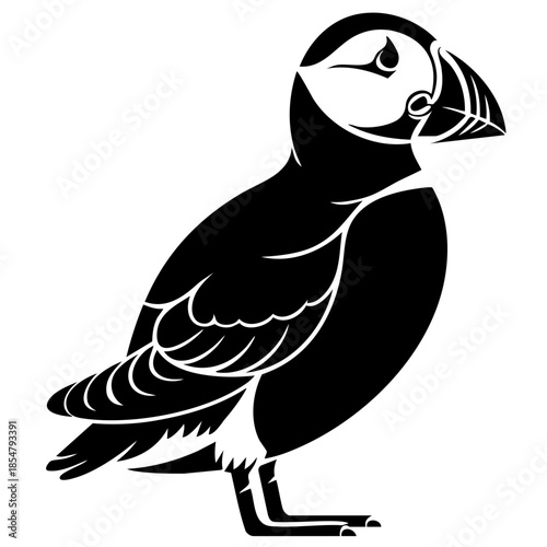Puffin Bird Vector
