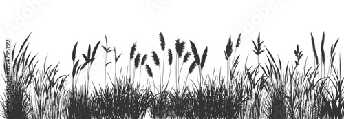 Whisper of river reeds.