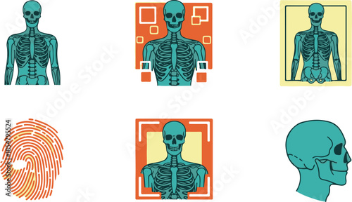 Collection of six flat and related to anatomy and identification including human skeletons, a fingerprint, and a skull profile
