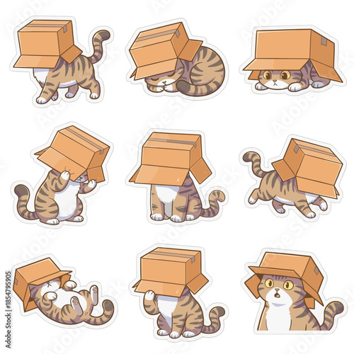 Adorable Tabby Cats Playing Hide-and-Seek with Cardboard Boxes