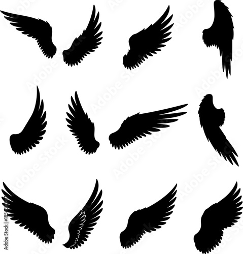 Wing art vectors and Set of black wings icon silhouette collections
