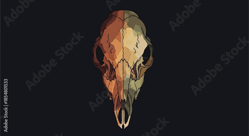 Graphic illustration of an animal skull with layered earthy colors on black background