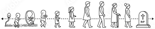 Human Life Cycle From Conception To Death Stages Illustrated With A Timeline Including Sperm, Fetus, Baby, Child, Adult, Elder, And Gravestone