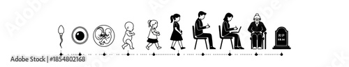 Human Life Cycle From Conception To Old Age Showing Stages Of Growth And Development