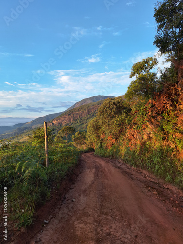 Mountain Dirt Road Illuminated by Early Morning Sunlight