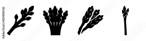 Illustrations of plant stems and leaves