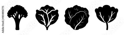 Various types of broccoli