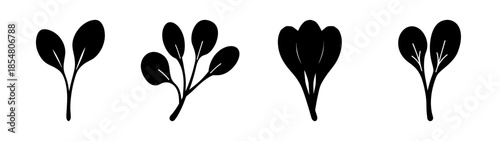 Silhouettes of leafy plants