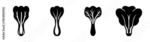 Four unique hair brush designs