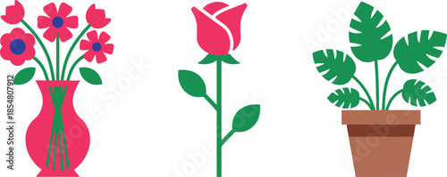 colorful plants and flowers on white background