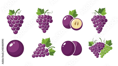 A collection of eight illustrations depicting various forms of purple grapes, including whole bunches, individual fruits, and a halved grape showing its seeds and flesh.