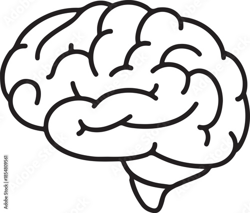 Simple line art illustration of a human brain representing intelligence and cognition perfect for medical or educational concepts