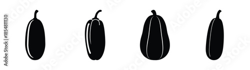 Empty vector file display