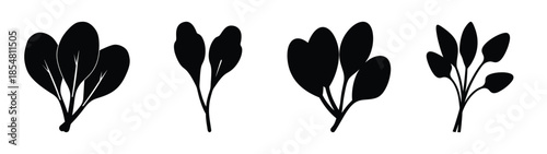 Empty vector file display