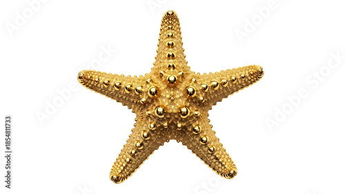 Foto Golden starfish isolated PNG on transparent background, shiny sea star with text