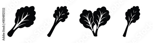 White background with text