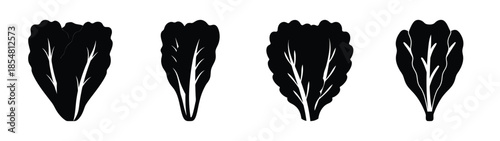 Empty vector file display