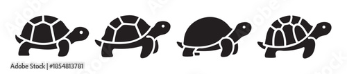 Four black turtle tortoise animal silhouettes are depicted in a simple vector illustration, showcasing different shell patterns and solid forms.