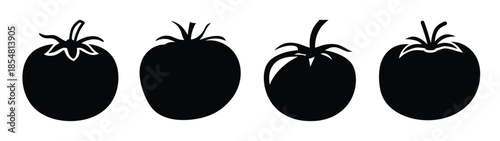 Empty vector file display