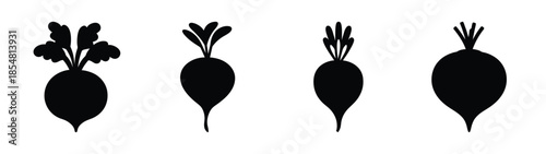 Empty vector file display