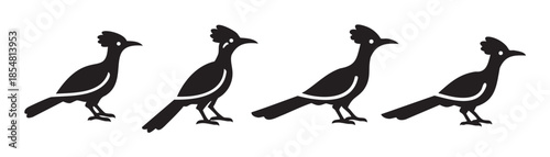 Four stylized roadrunner birds standing in a row, depicted as minimalist black silhouettes with a distinctive crest and a white highlight on their bodies.