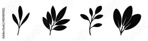 Empty vector file display