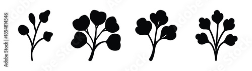 Empty vector file display