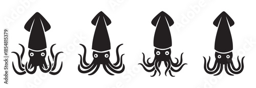 Four black squid icons with varying tentacle arrangements are presented as simple graphic illustrations, perfect for marine life and seafood designs.