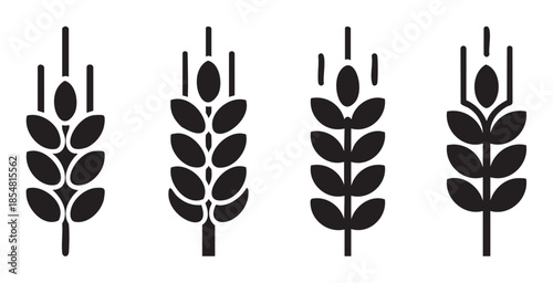 Four stylized wheat grain cereal crop spikes represent agriculture and harvest, symbolizing natural food, baking ingredients, and healthy organic produce.