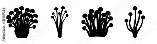 Silhouettes of potted plants