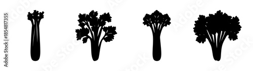 Stages of broccoli growth