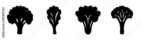 Four broccoli heads arranged in a row