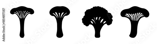 Four types of mushrooms