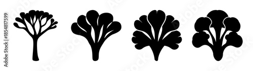 Silhouettes of broccoli
