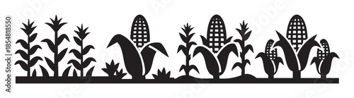 Corn plants growing in a stylized agricultural field depicted as a black silhouette illustration, representing farming, harvest, and natural growth.