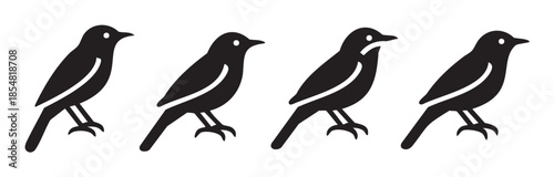 Four black bird silhouettes standing in a neat row, showcasing a minimalist and iconic design suitable for various graphic applications.