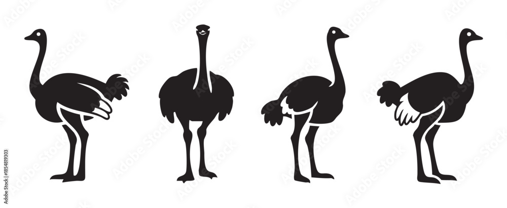 Fototapeta premium Four black ostrich silhouettes are depicted in various poses, showcasing different angles and characteristics of this iconic large flightless bird.