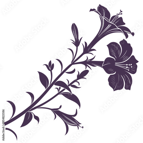 calibrachoa superbells plum flower silhouette vector on  white background