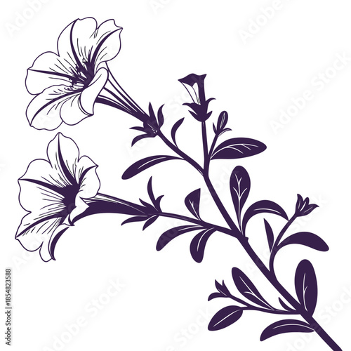 calibrachoa superbells plum silhouette 