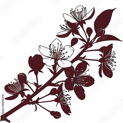 crabapple malus prairefire royal raindrops silhouette 