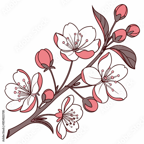 crabapple malus prairefire royal raindrops vector on white background