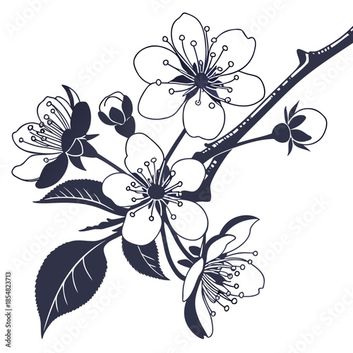 crabapple malus prairefire royal raindrops flower vector on white