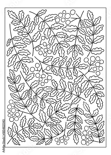 Hand drawn rowan branch pattern with leaves and berry clusters in black and white vector style. The image represents nature, autumn botanical illustration, and relaxing coloring concept
